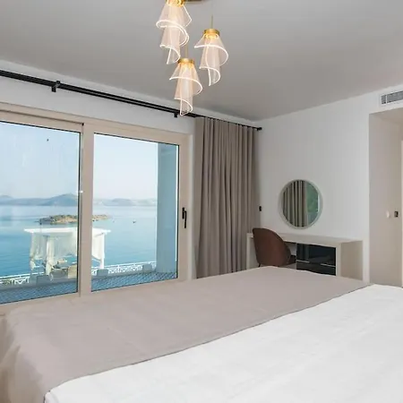 Front Super Boss 2 فيلة