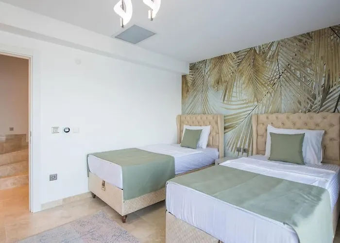 Front Super Vılla Boss 2